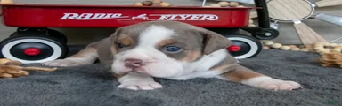 Nelly