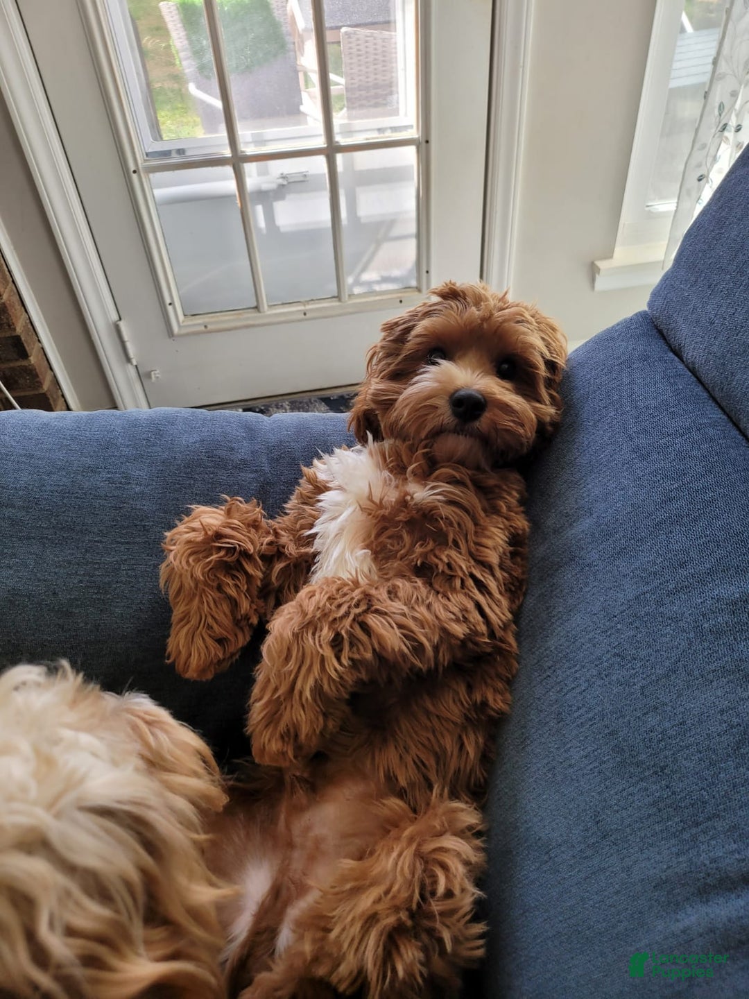 Gallery Image {{count}}