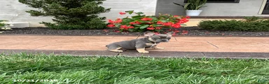 Quinn