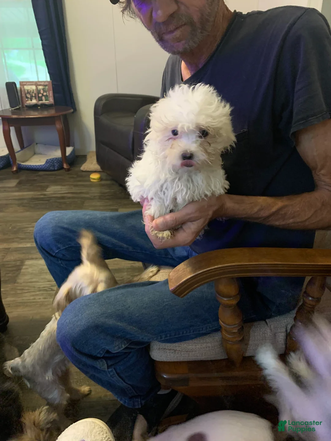 Gallery Image {{count}}