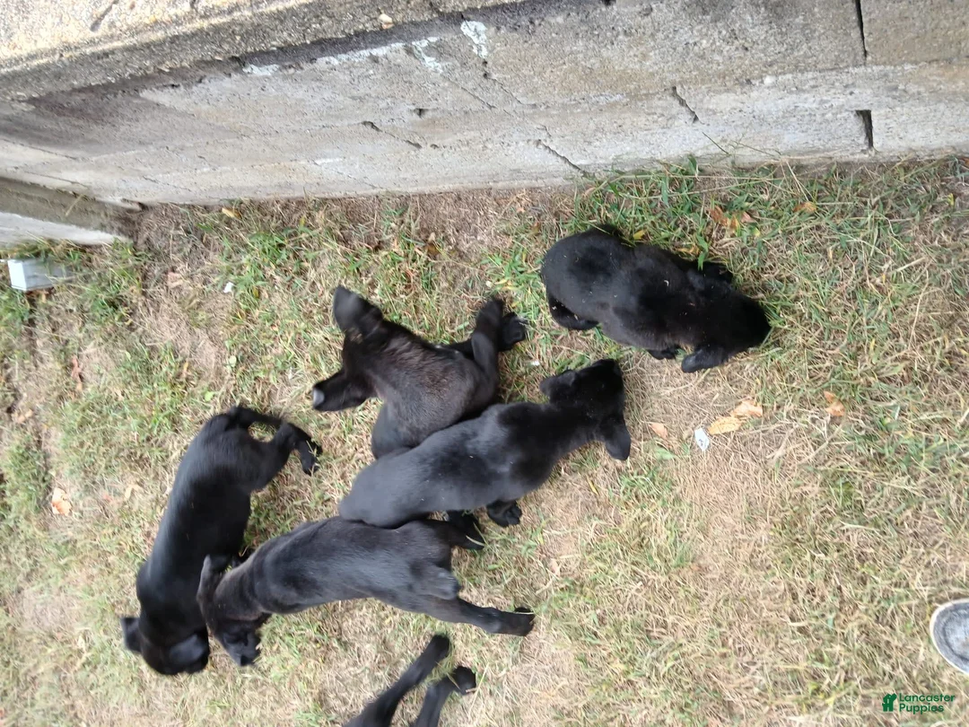 Gallery Image {{count}}