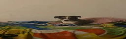 Mixed Breed dogs for sale: Neno - Ad 6