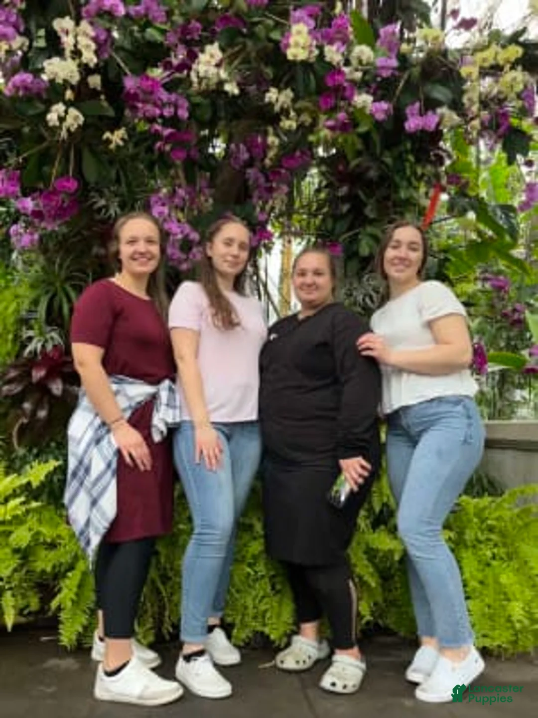 Gallery Image {{count}}