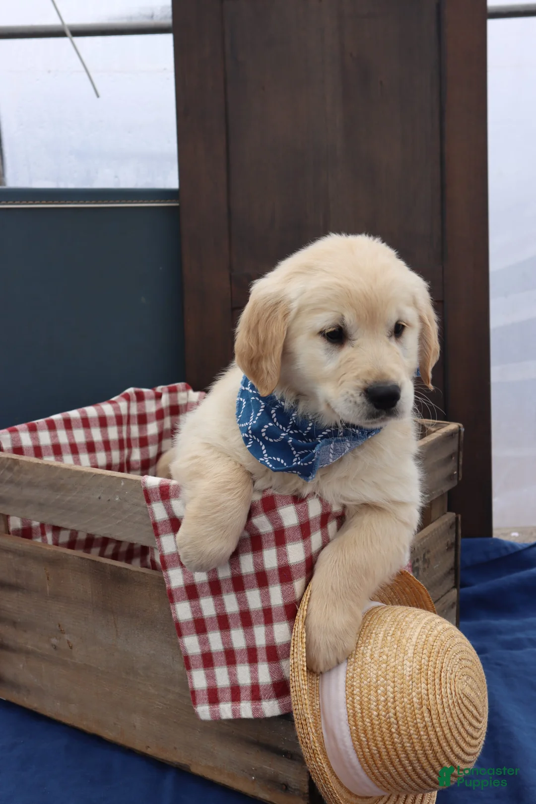 Gallery Image {{count}}