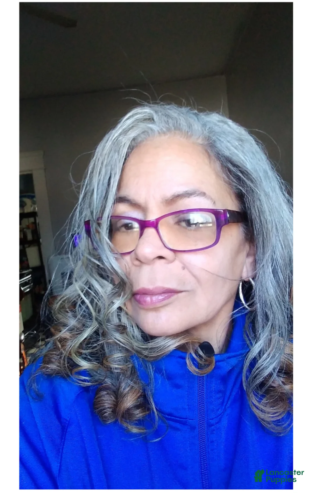 Gallery Image {{count}}