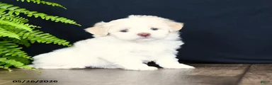Winnie
