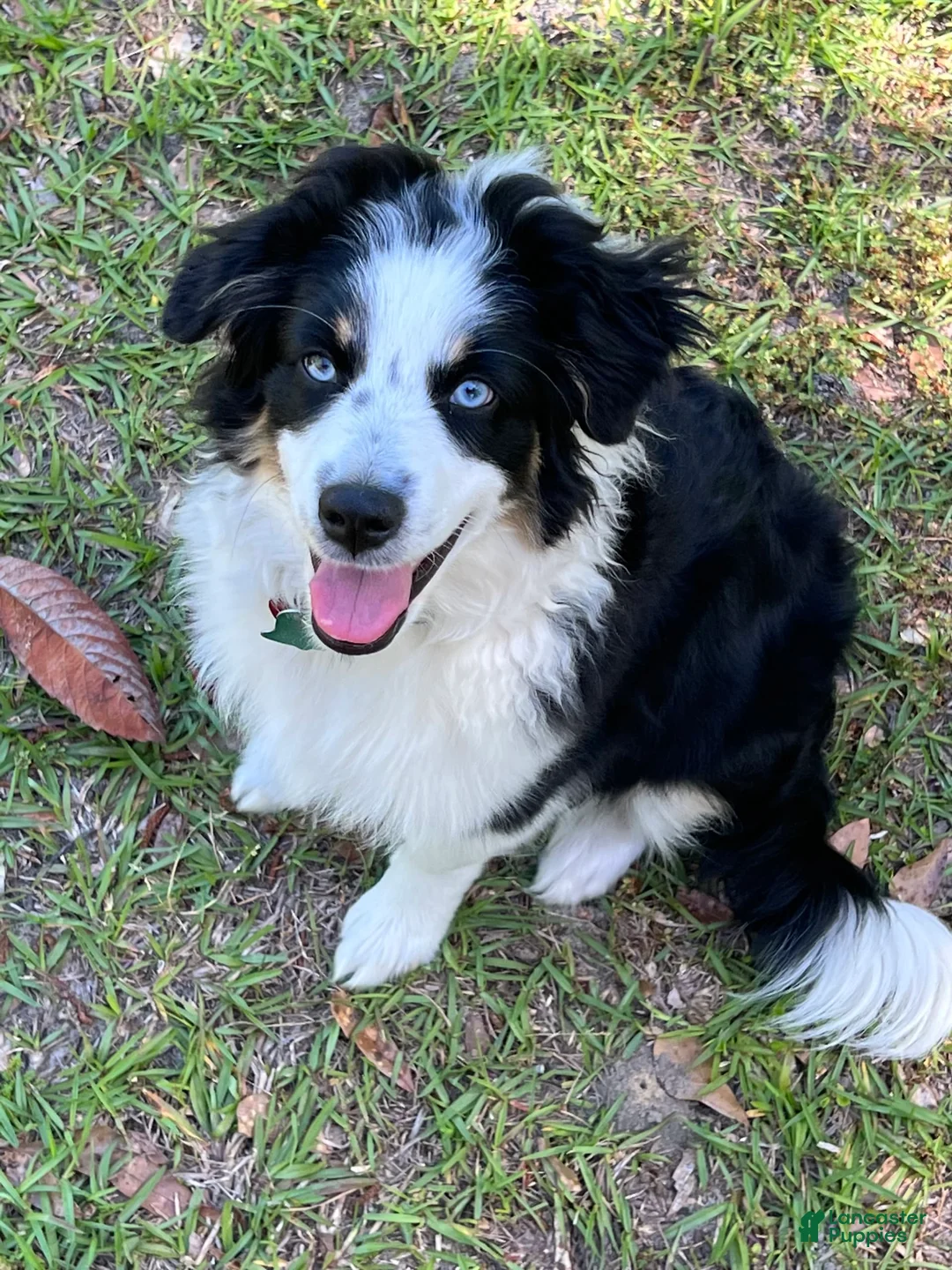 Gallery Image {{count}}