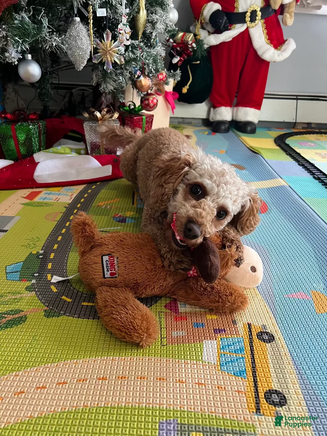 Gallery Image {{count}}