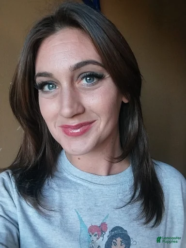 Gallery Image {{count}}