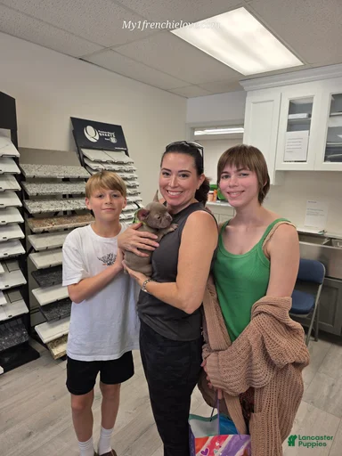 Gallery Image {{count}}