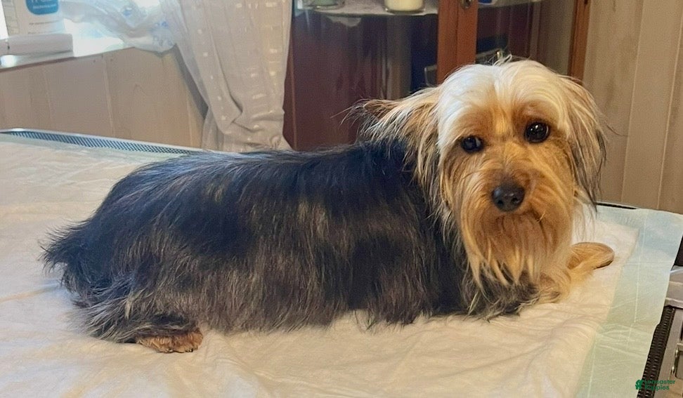 Abby