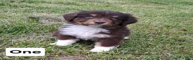 One