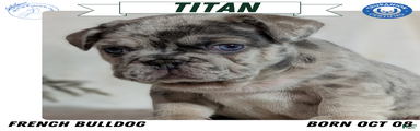 Titan