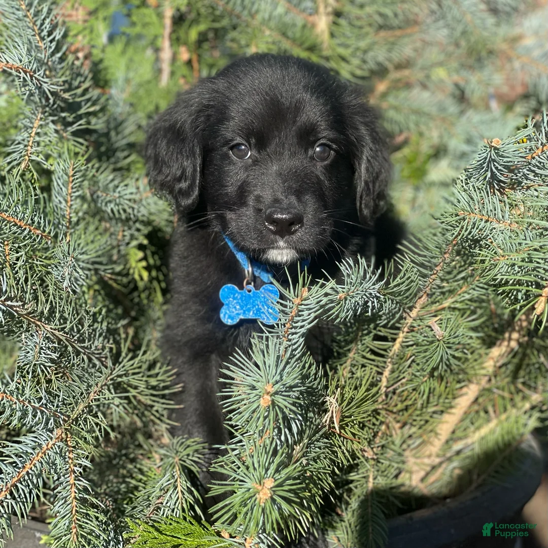 Gallery Image {{count}}