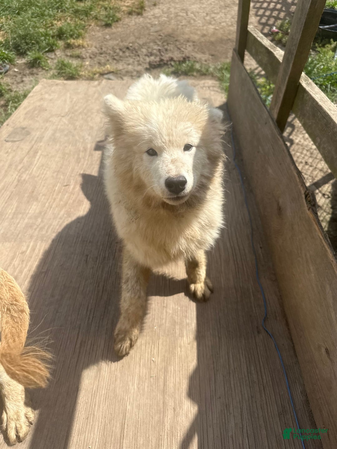 Gallery Image {{count}}