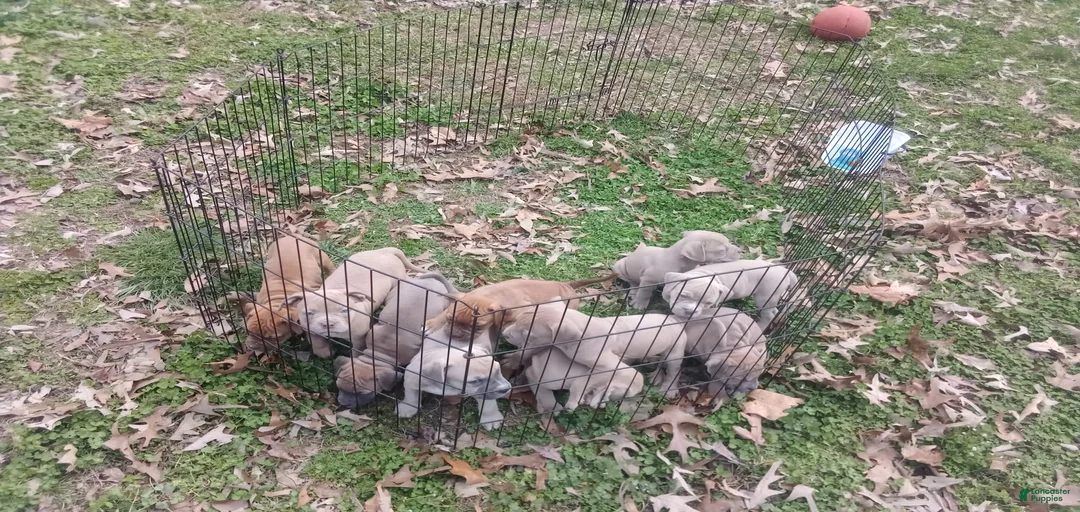 Gallery Image {{count}}