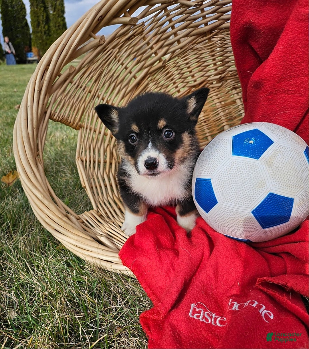 Gallery Image {{count}}