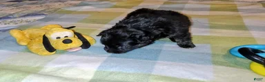 Sweet baby girl