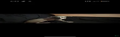 Italian Greyhound 5