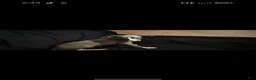 Italian Greyhound dogs for sale: Italian Greyhound 5 - Ad 1