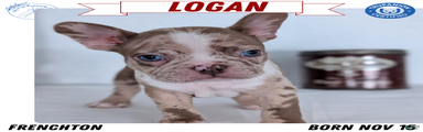 Logan