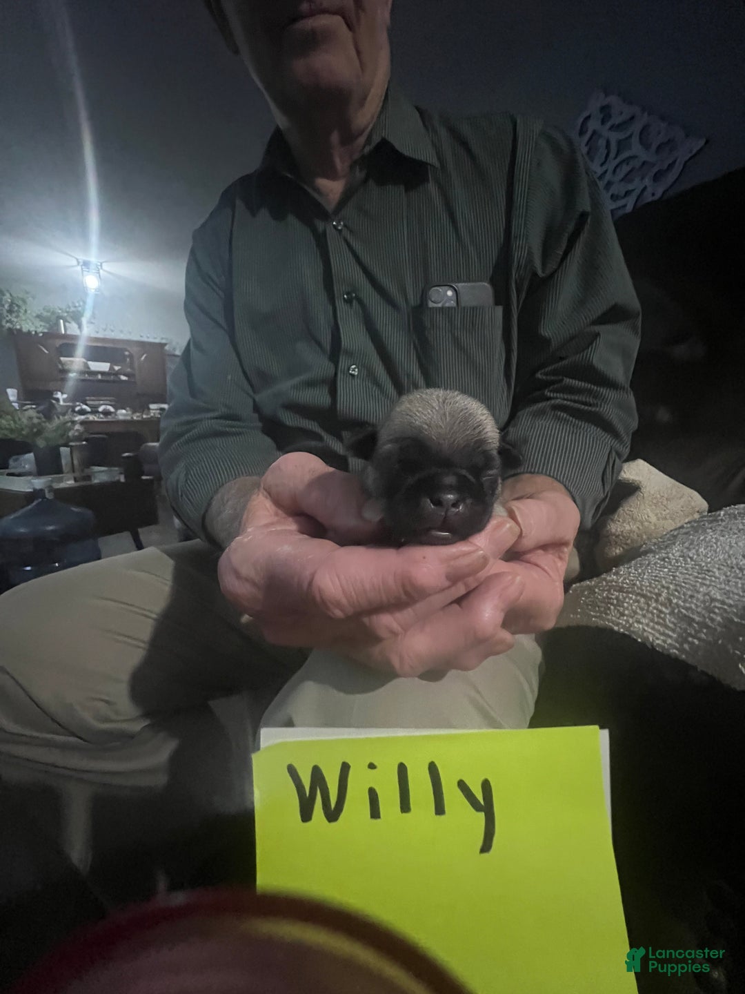 Gallery Image {{count}}