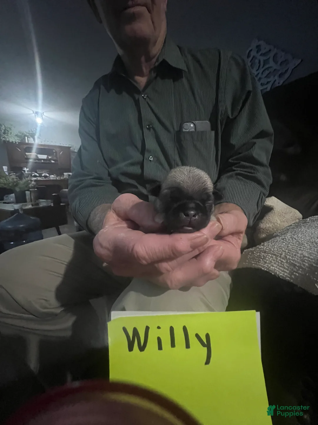 Gallery Image {{count}}