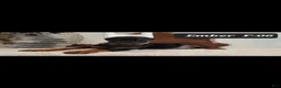 Doberman Pinscher dogs for sale: CANYON - Ad 11