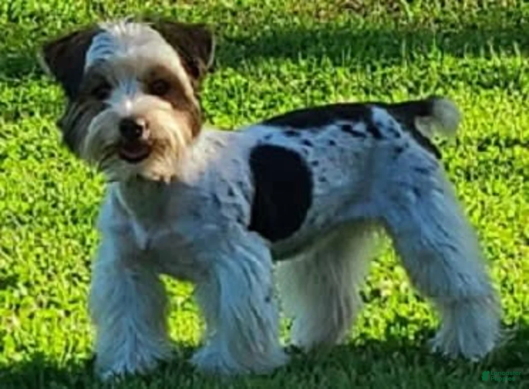 Gallery Image {{count}}