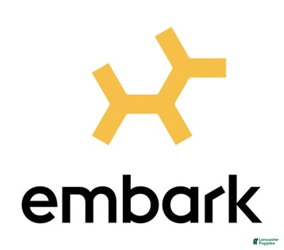 Golden Retriever dogs for sale: Rudy - Ad 9