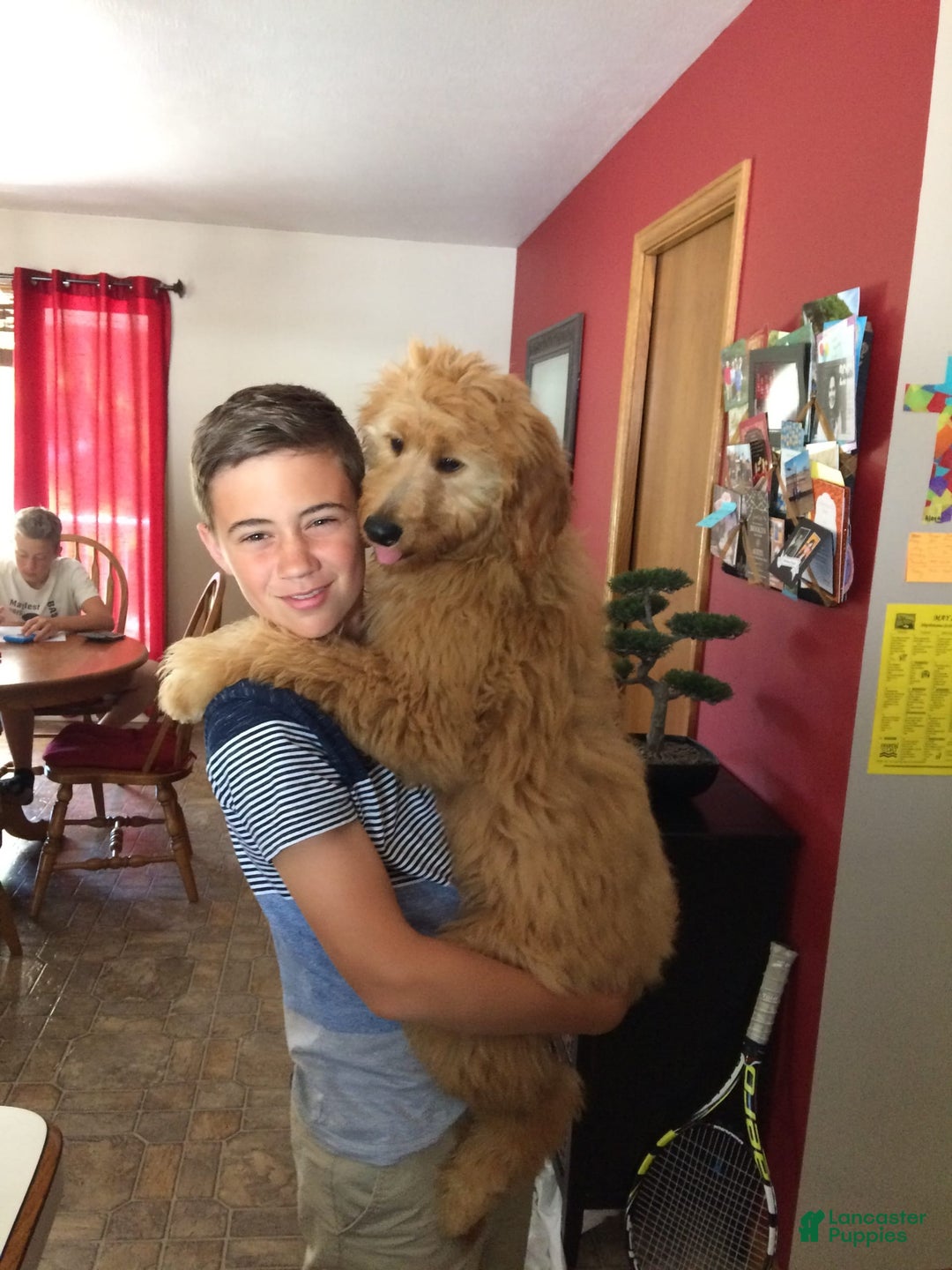 Gallery Image {{count}}