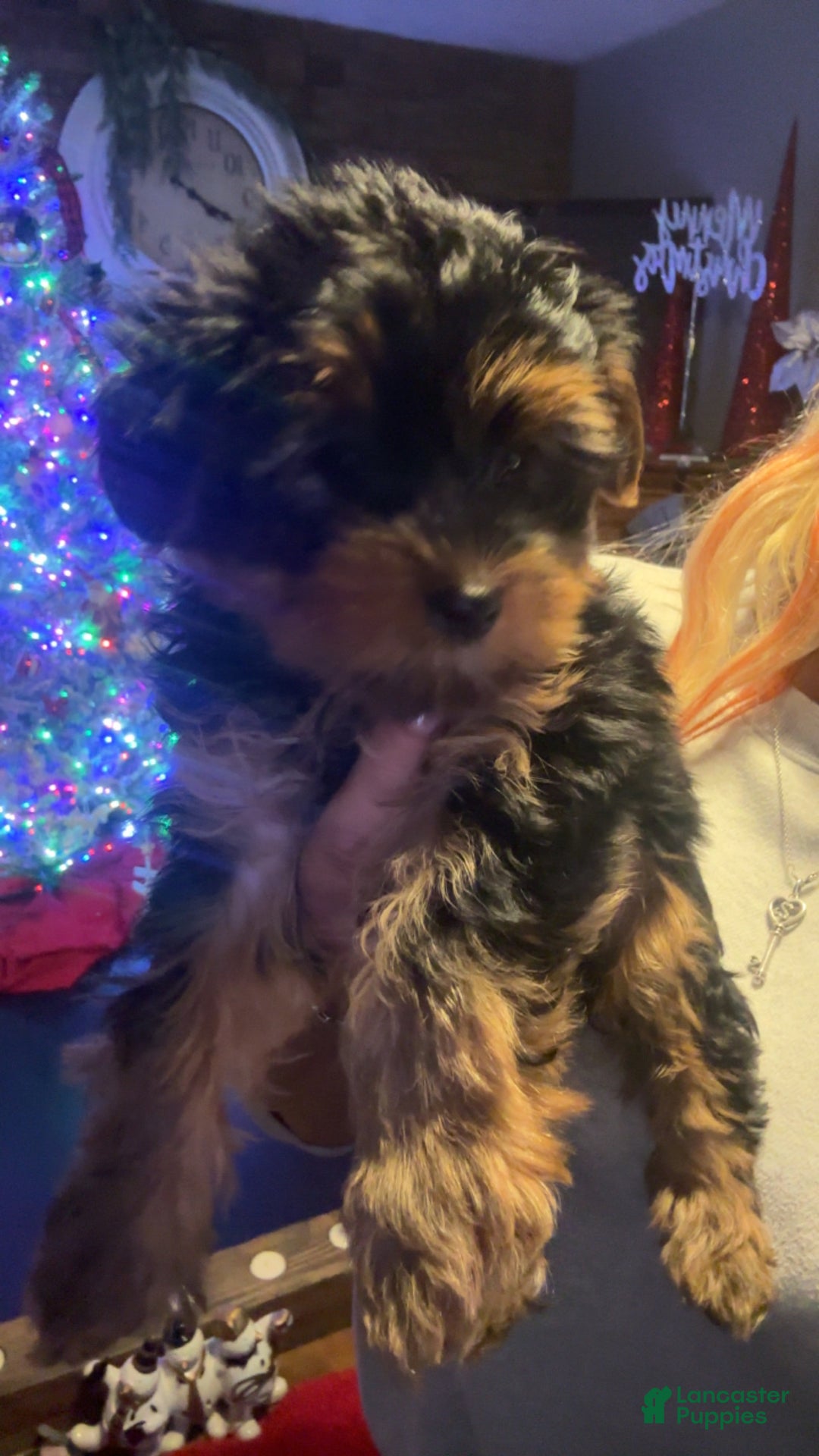 Gallery Image {{count}}