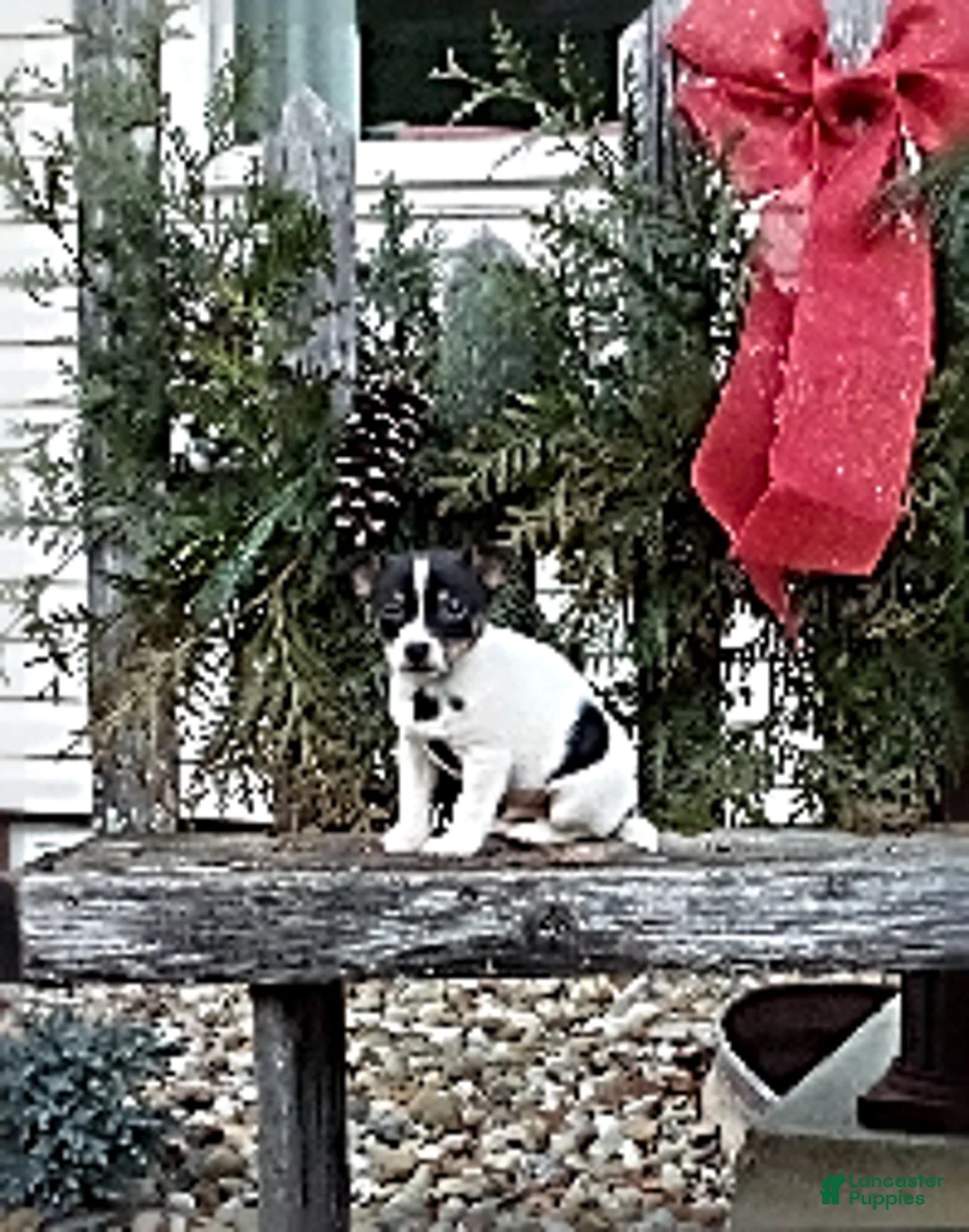 Gallery Image {{count}}