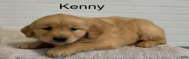 Kenny