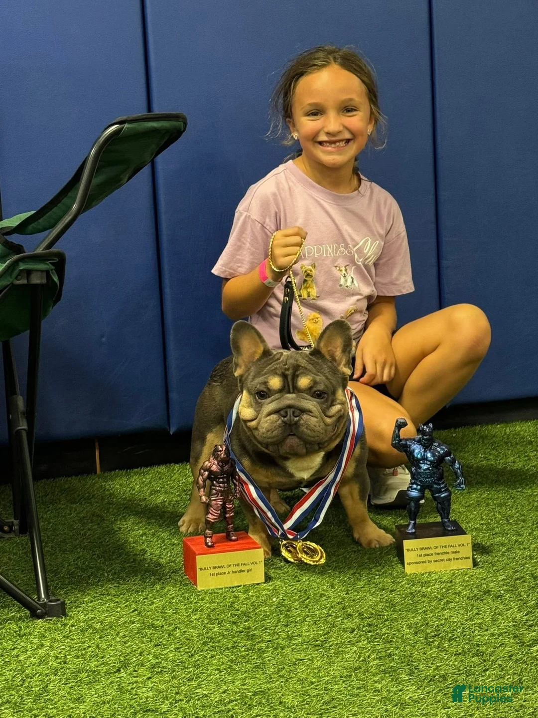 French Bulldog dogs for stud: Mr. Steal Yo Girl “Tinder” Blue  - Ad 14