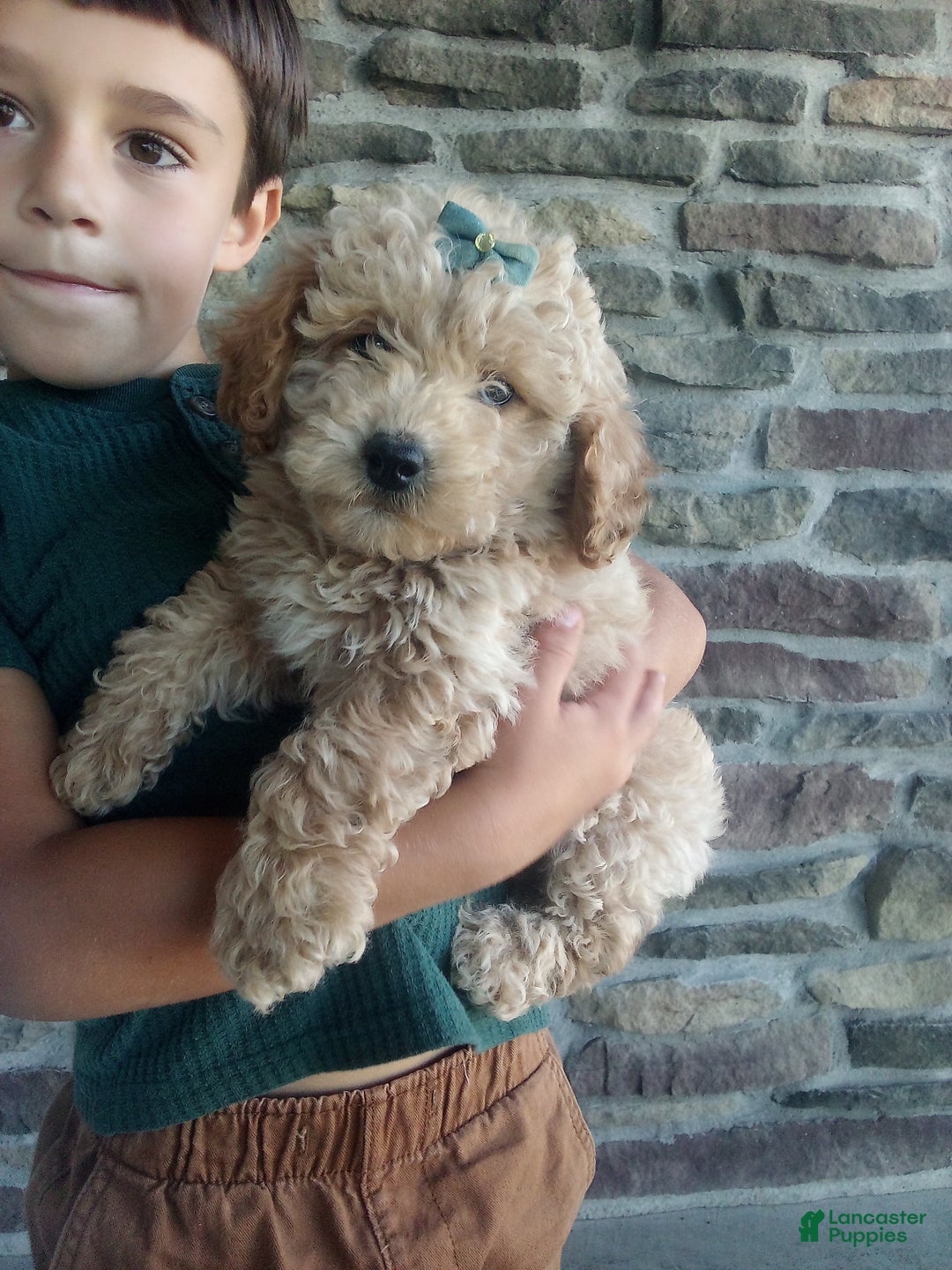 Gallery Image {{count}}