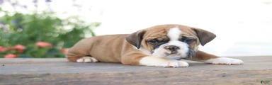 Tiny