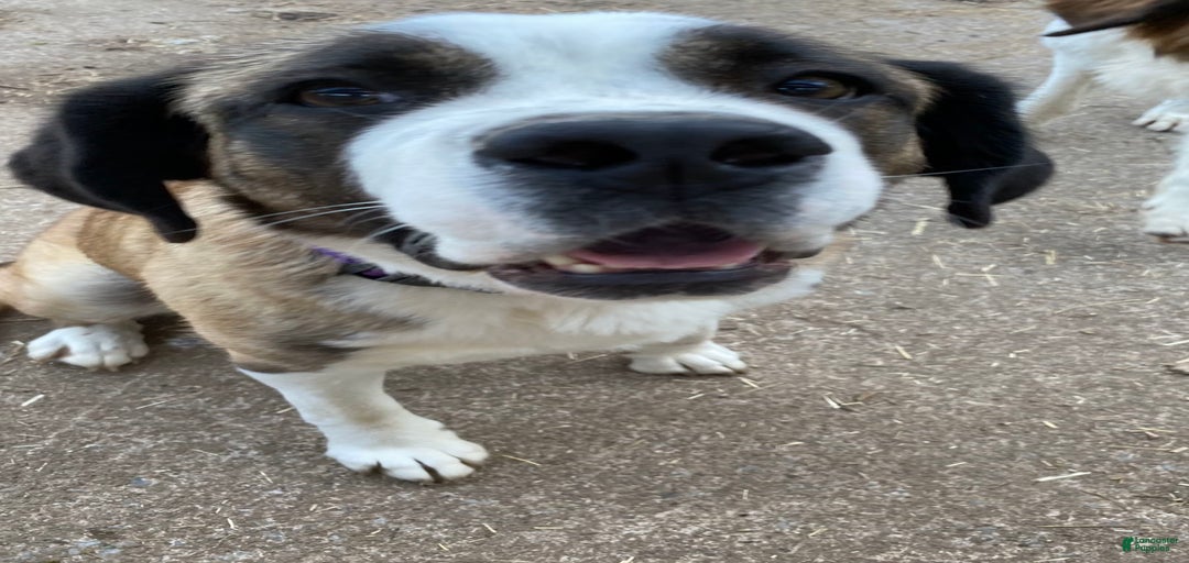 Gallery Image {{count}}