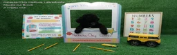 Labradoodle dogs for sale: NC G6 Black - Ad 1