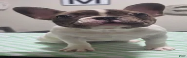 Fiona