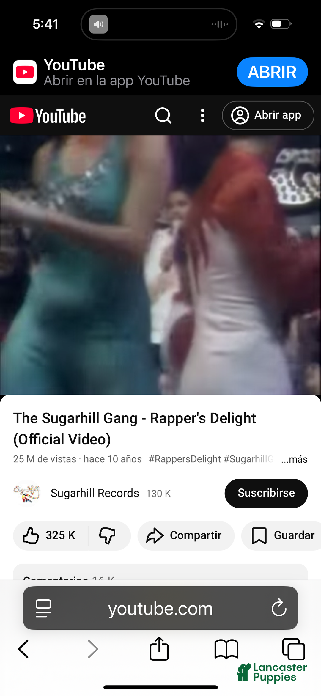 French Bulldog dogs for sale: French Bulldog Puppy 2 - Ad 10