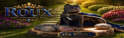 American Bully dogs for sale: American Bully 1 - Ad 5