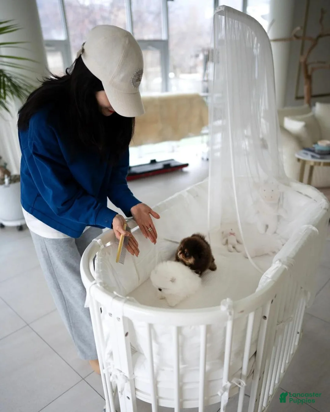 Gallery Image {{count}}