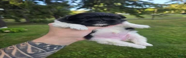 Deja Vu