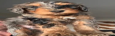 Mousse