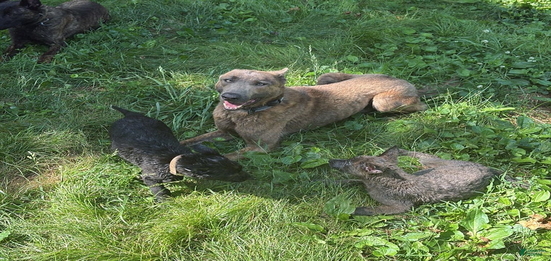 Gallery Image {{count}}