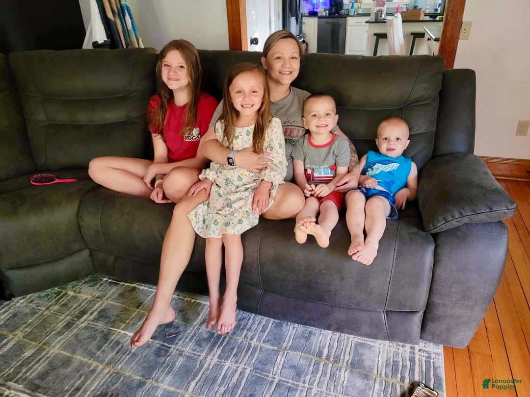 Gallery Image {{count}}