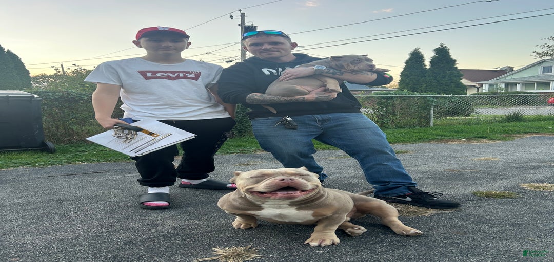 Gallery Image {{count}}