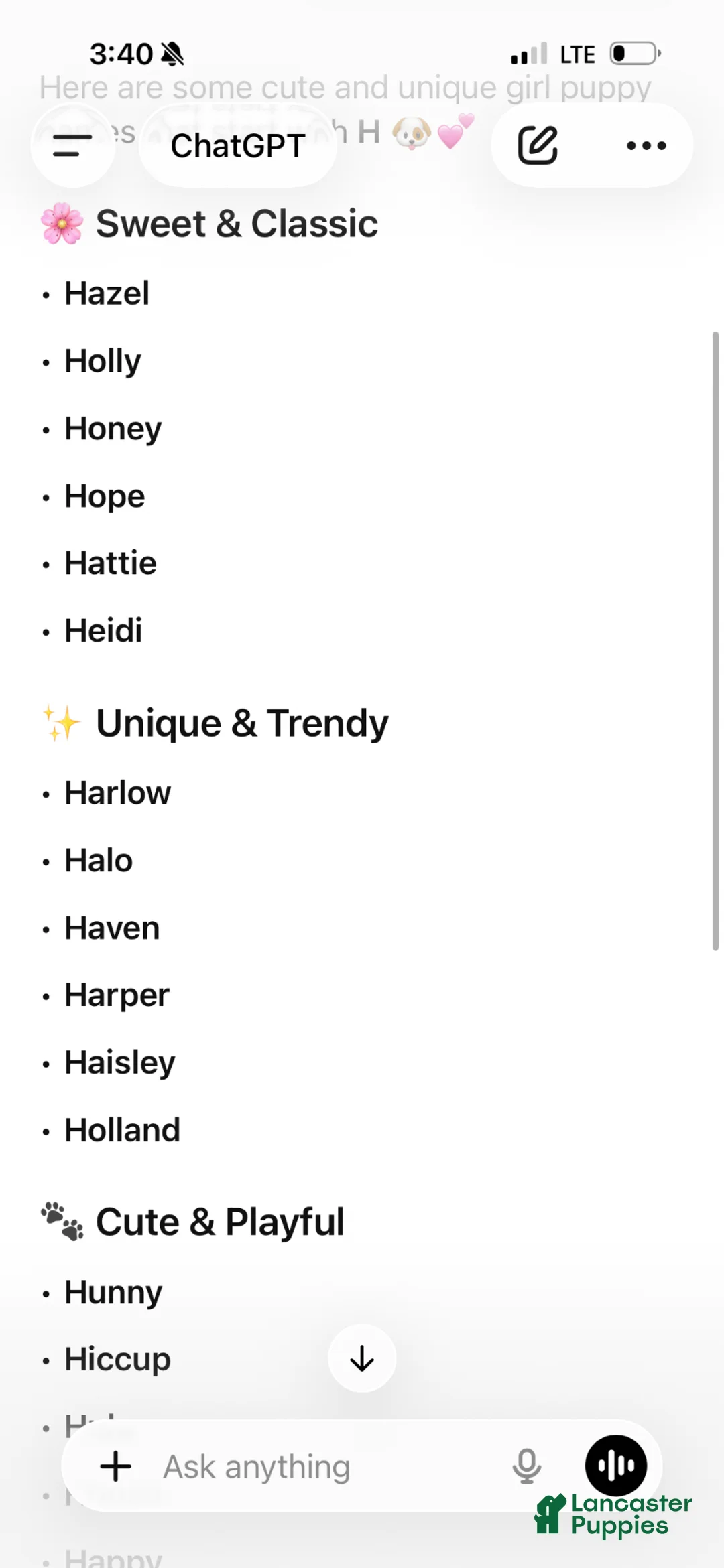 Miniature Dachshund dogs for sale: Hazel - Ad 9