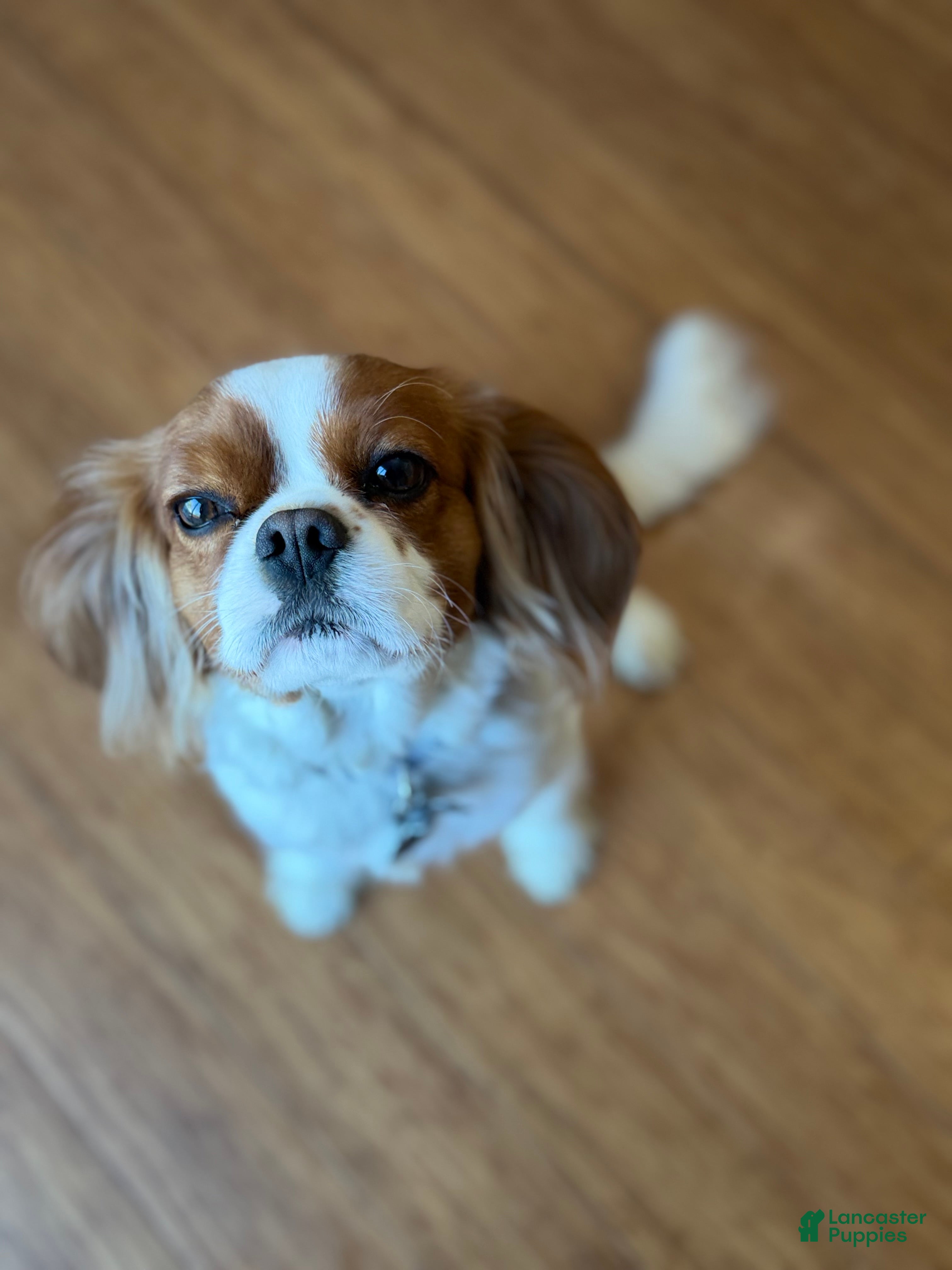 Benny